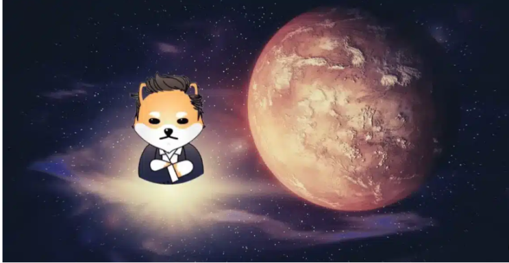  [밈코인] 도지론 마스 Elon 코인 전망 및 시세