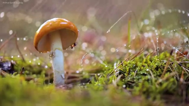  부동산분양사무원 , 상세한 부동산권리분석사 준비 과정