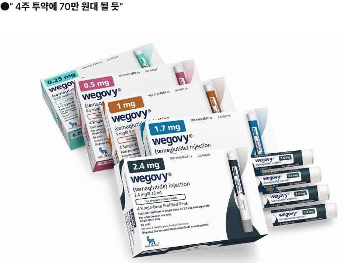  비만약의 진실: 효과와 부작용(위고비 한국 출시)