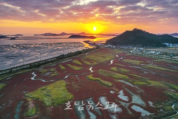  생태와 문화 만나는 아시아 최초 슬로시티 신안 증도에서 ‘섬 함초축제’ 개최