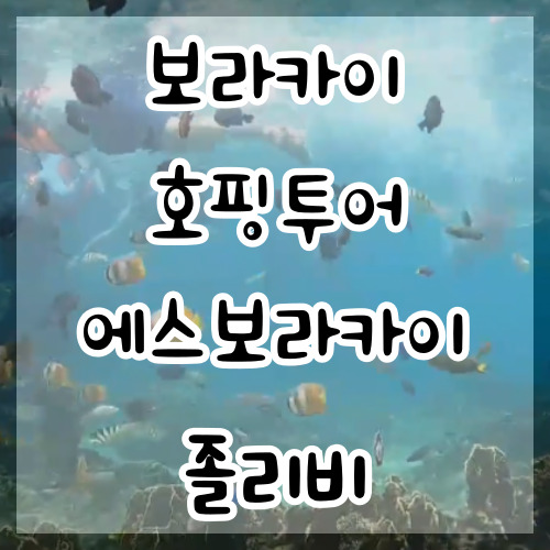  보라카이 호핑투어 에스보라카이 졸리비 후기