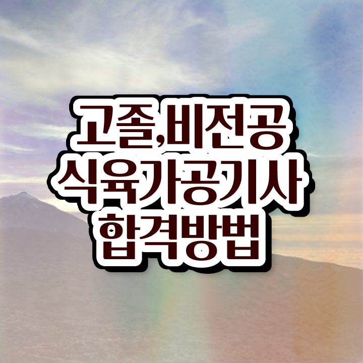  식육가공기사 시험응시조건 온라인 과정으로 편하게 준비한 비법