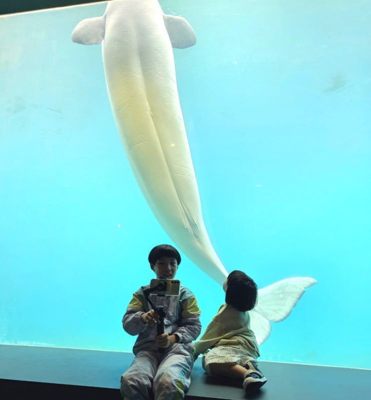  거제 비오는날 아이와 가볼만한 곳 거제씨월드
