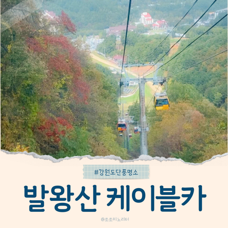  강원도 단풍 명소 발왕산 케이블카로 즐기는 가을 여행, 유모차도 가능