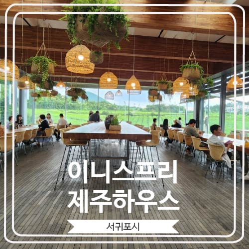  [이니스프리 제주하우스] 넓고 푸른 녹차밭에서 사진을 찍을 수 있는 곳