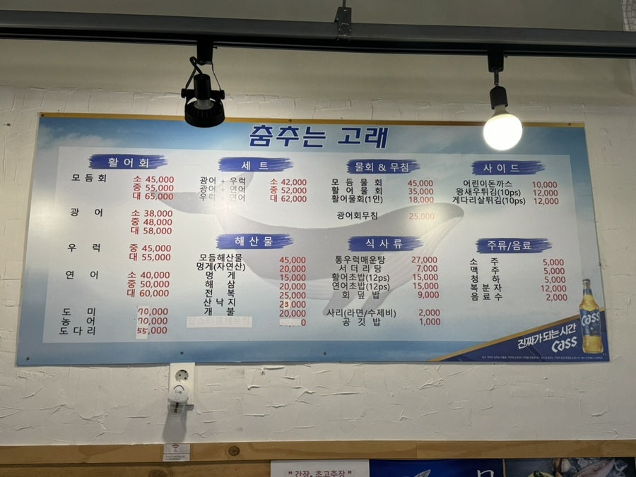 춤추는고래 사진 2