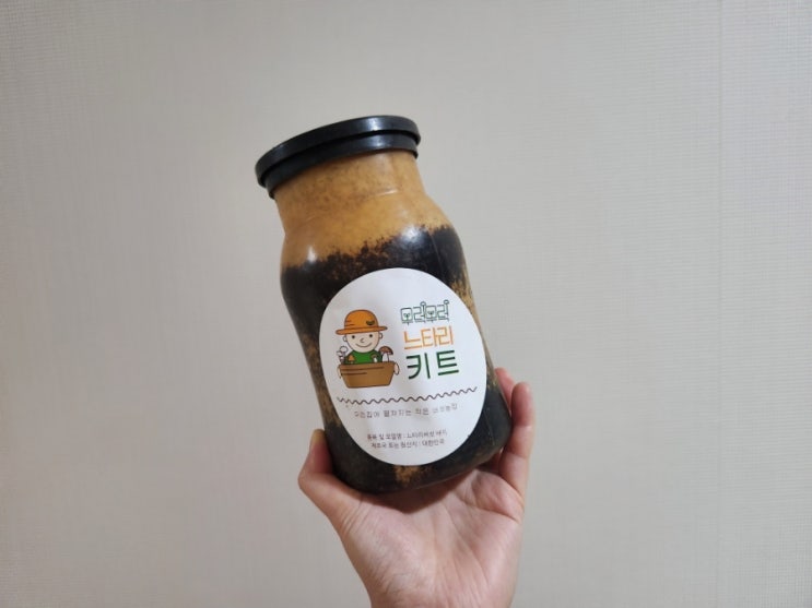  느타리 버섯 키우기 재배 키트 집에서 무럭무럭 기르기 수확하는 재미는 덤