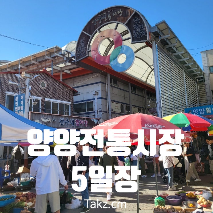  아이들과 양양시장 5일장 방문 후기