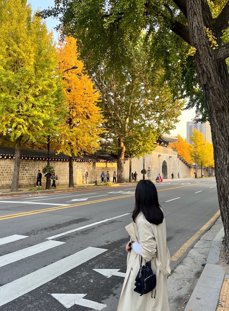  10월 서울 종로/서촌 가을단풍길(효자로) | 국립고궁박물관, 은행나무, 인왕산대충유원지, 서촌곳간