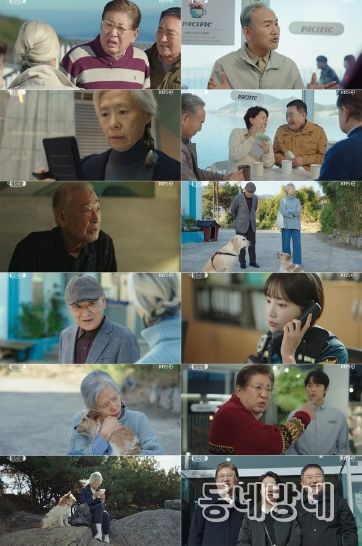 '<b>개소리</b>' <b>이순재</b>, 예수정의 아픈 상처 치유하는 해결사로 활약!... 