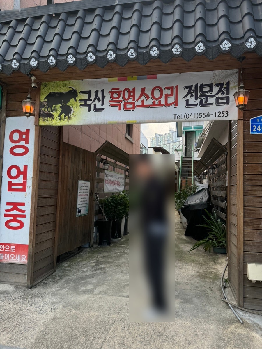 송벌 사진 2