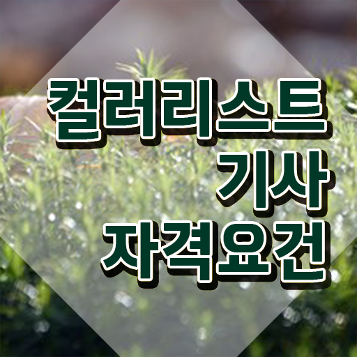  컬러리스트 기사 필기 컬러리스트기사 자격요건 학점은행제로 간편하게 완료한 과정