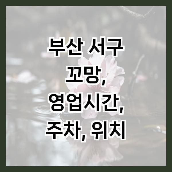 꼬망 사진 1