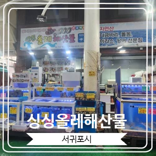  [싱싱올레해산물] 포장 전문 맛집으로 유명한 서귀포올레시장횟집
