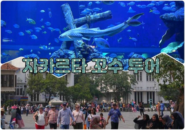  자카르타 꼬수투어.