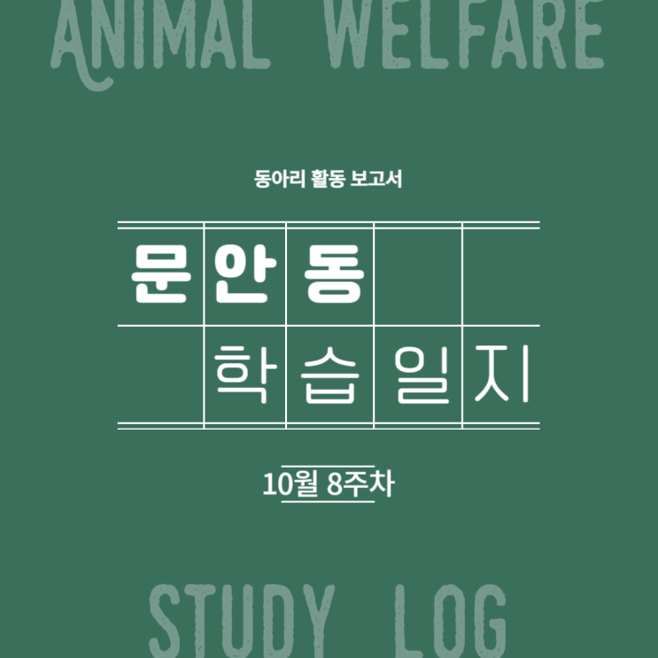  2023 문안동 학습일지 (10월 8주차)