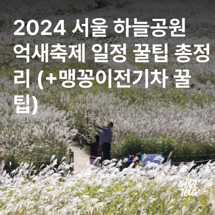  2024 서울 하늘공원 억새축제 일정 꿀팁 총정리 (+맹꽁이전기차 꿀팁)
