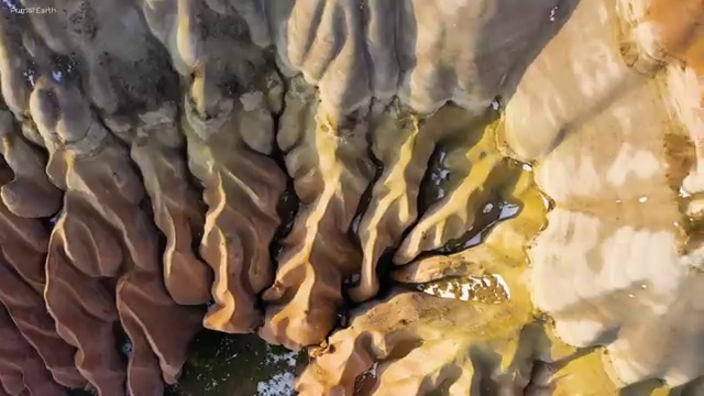  병원동행매니저시험 , 병원동행매니져 직장인도 쉽게 합격한 팁