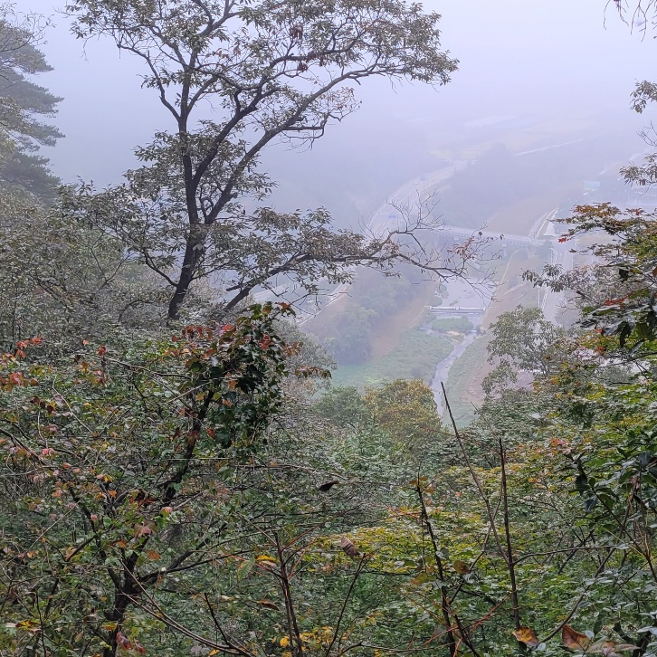  시월3째주 운동기록 팔봉산에 오르다