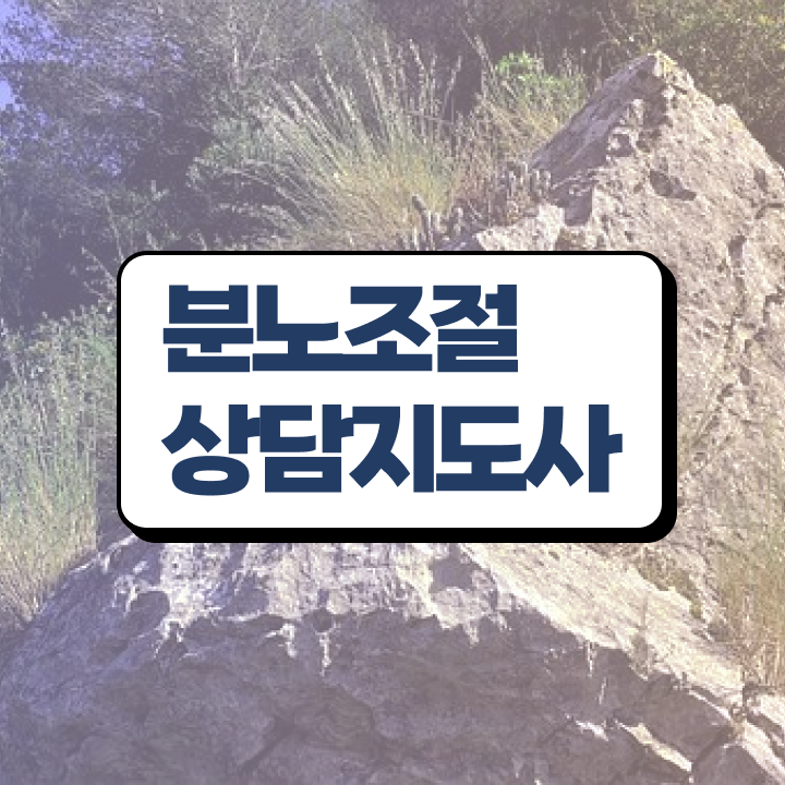 육아 분노조절장애 , 분노조절상담지도사 응시자격 없이 취득했던 후기
