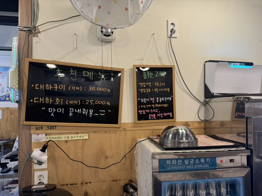 춤추는고래 사진 3
