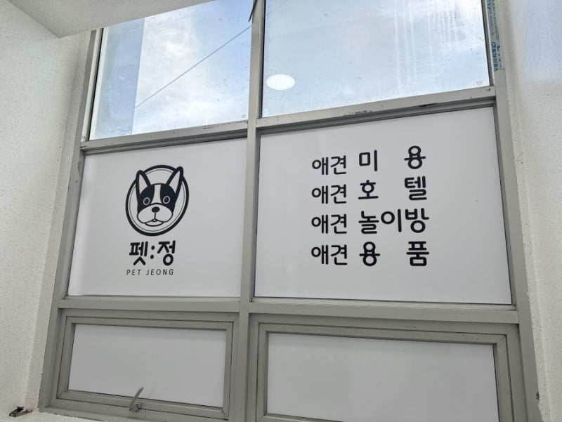 사진 5