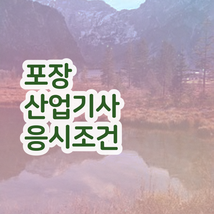  포장산업기사 응시조건 인강으로 편하게 성공한 전략