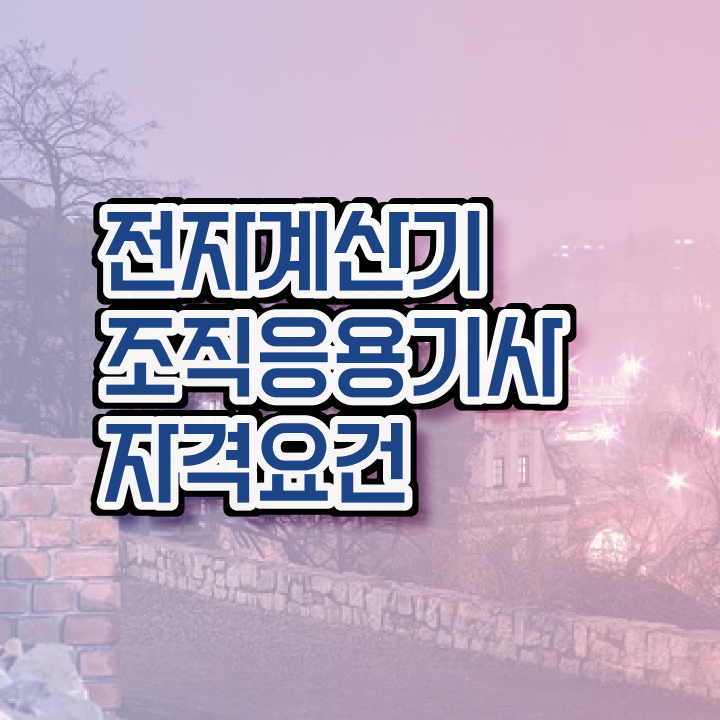  전자계산기조직응용기사 시험 접수 전자계산기조직응용기사 취득자격 집에서 온라인으로 쉽고 빠르게 완료한 과정