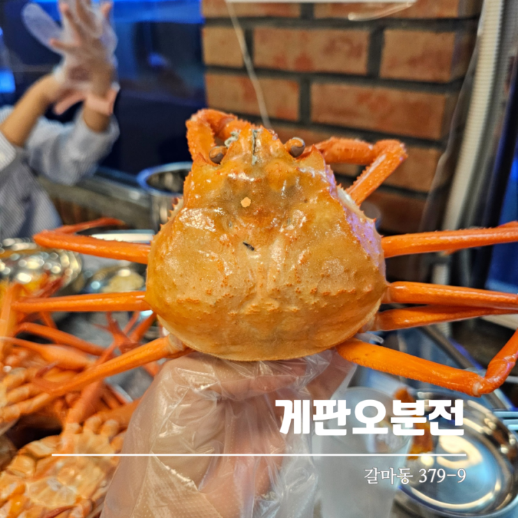  대전홍게무한리필 게판오분전 갈마동맛집 솔직후기