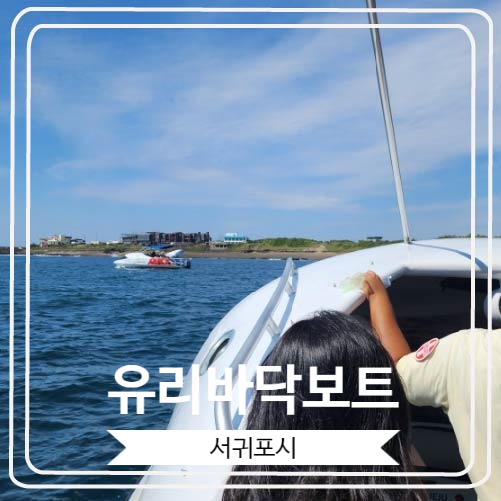 [유리바닥보트] 신나고 즐거웠던 베이직 코스 이용 후기