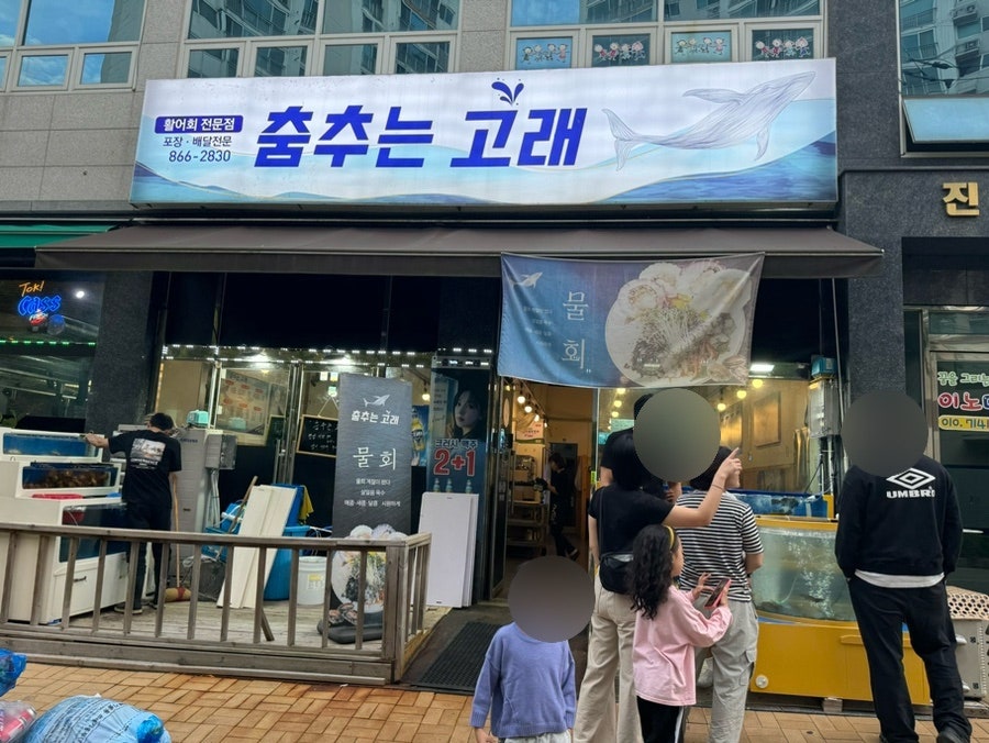 춤추는고래 사진 1
