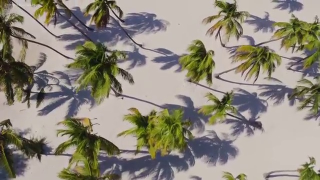  춘천 사회복지사2급 비용 사회복지사2급 고졸자도 학점은행제로 편하게