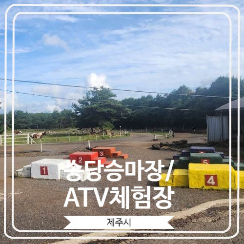  [송당승마장/ATV체험장] 초보자도 편하고 안전하게 말을 타 볼 수 있는 곳