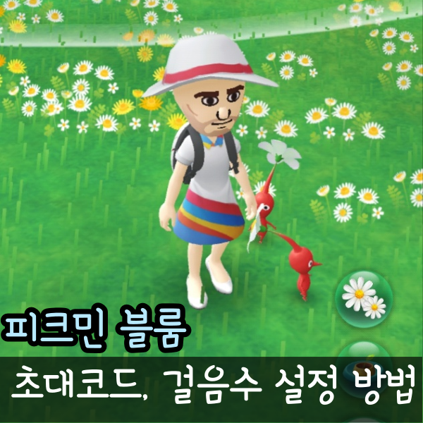  피크민 블룸 하는 법과 걸음수 설정 방법, 초대코드