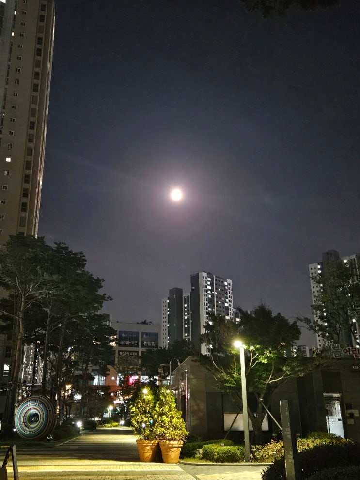  감사일기 421일차
