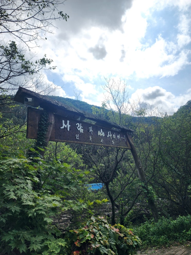 포항 선류산장 한국의 치앙마이라고 불리는 산속카페