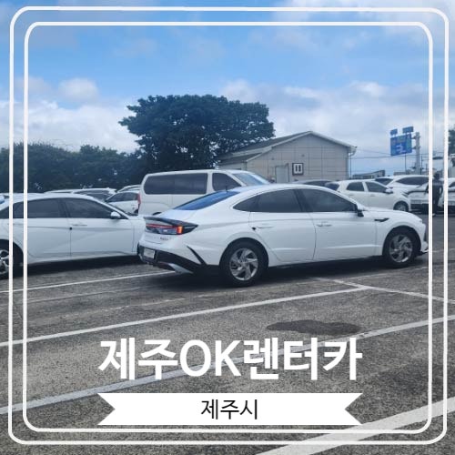  [제주OK렌터카] 제주 여행의 발이 되어 줄 렌트카를 예약하고 반납하는 방법