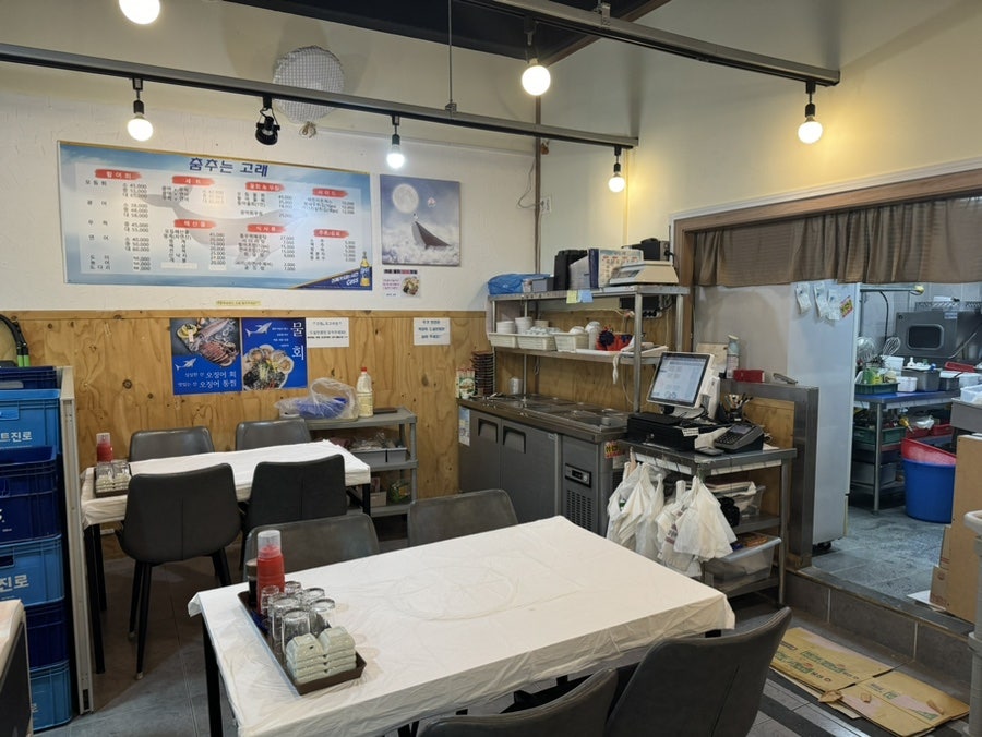 춤추는고래 사진 5