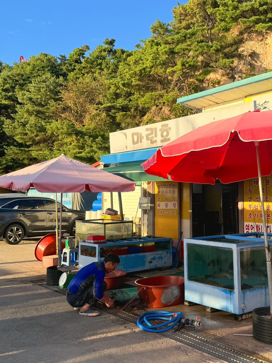 내리호 사진 6