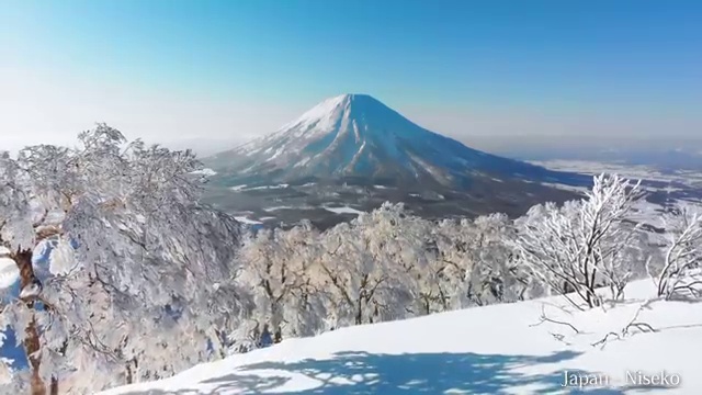  학점은행제 플래너 없이 , 학점은행제 학습플래너 가 옆에 있어서 희망하던 학위를 취득했어요