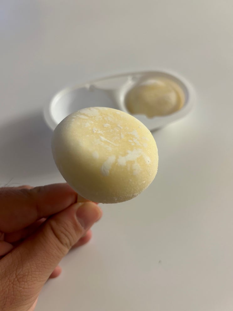  떡과 바닐라 아이스크림을 동시에 즐기는 신상아이스크림 <찰떡아이스 바닐라> 리뷰