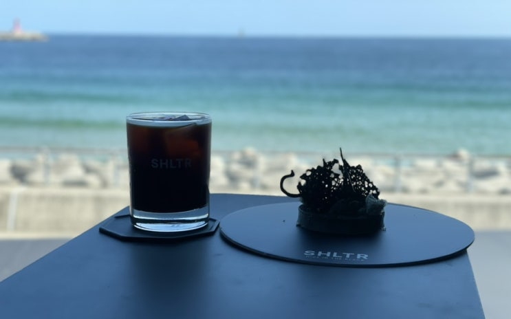  카페 SHLTR 방문후기