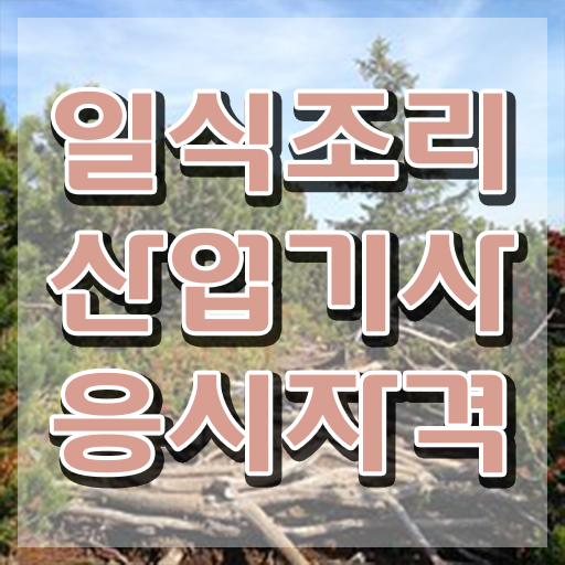  일식조리산업기사 합격 일식조리산업기사 시험응시조건 인강으로 간단하게 성공한 전략