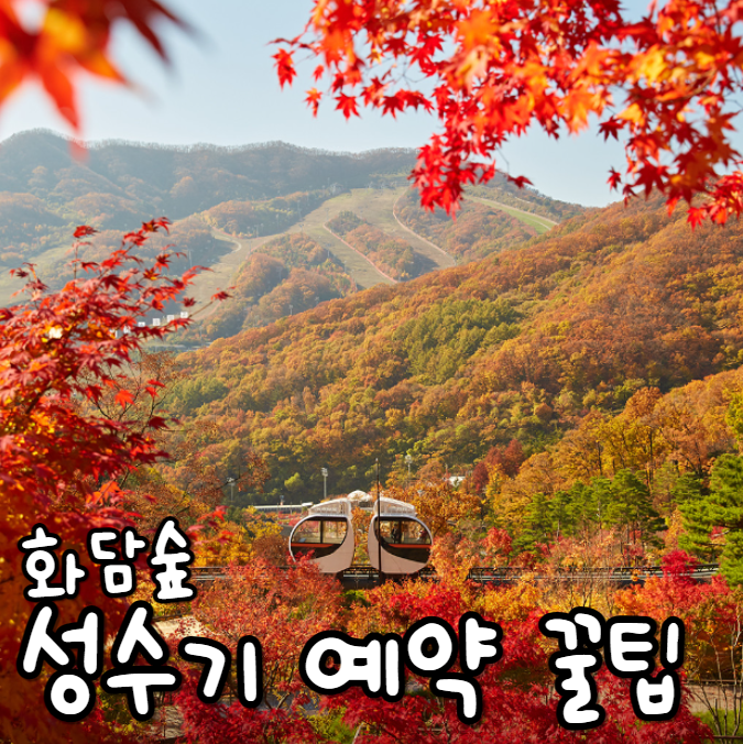  화담숲 성수기 시간 예약 화담채