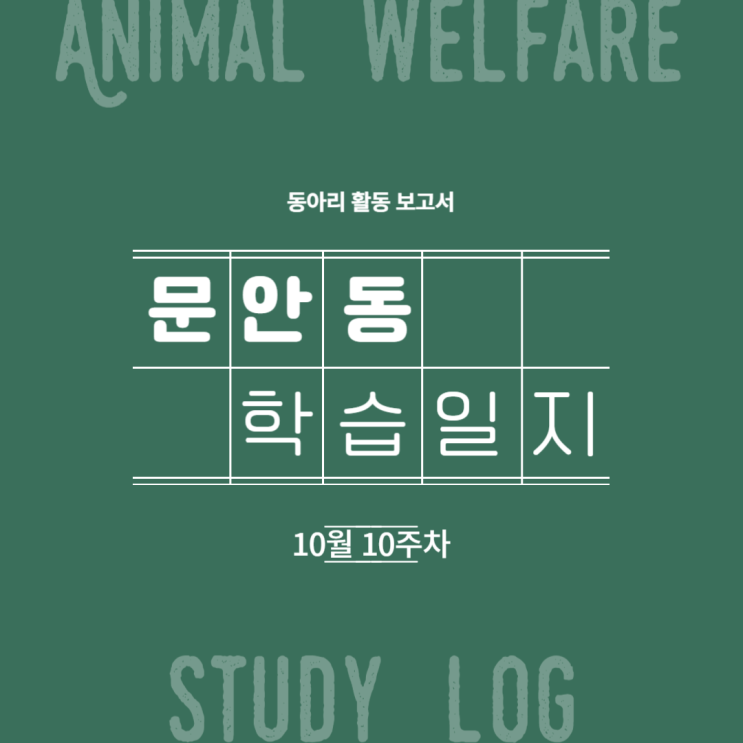  2023 문안동 학습일지 (10월 10주차)