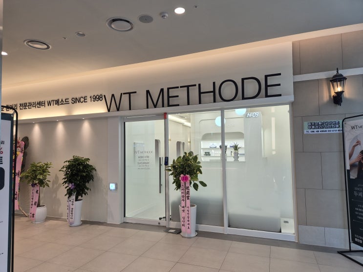  동탄두피관리 WT메소드 동탄점