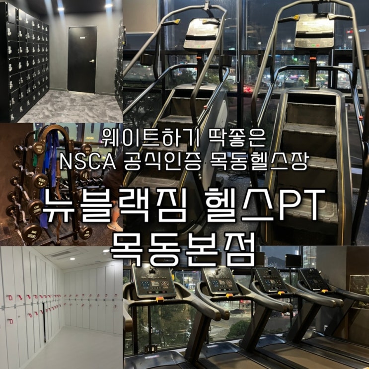  양천구&강서구에서 유일한 NSCA 공식 인증센터, 해외정품 기구를 보유해 묵직한 웨이트를 할수있는 목동헬스장 “뉴블랙짐 헬스PT 목동본점️”
