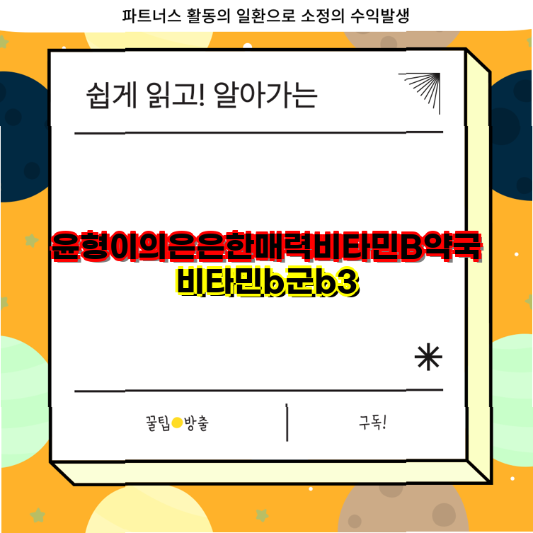 비타민B 핫템최대찬스 활력 회복을 위한 종근당 비타민B 플러스 60정 3개 세트