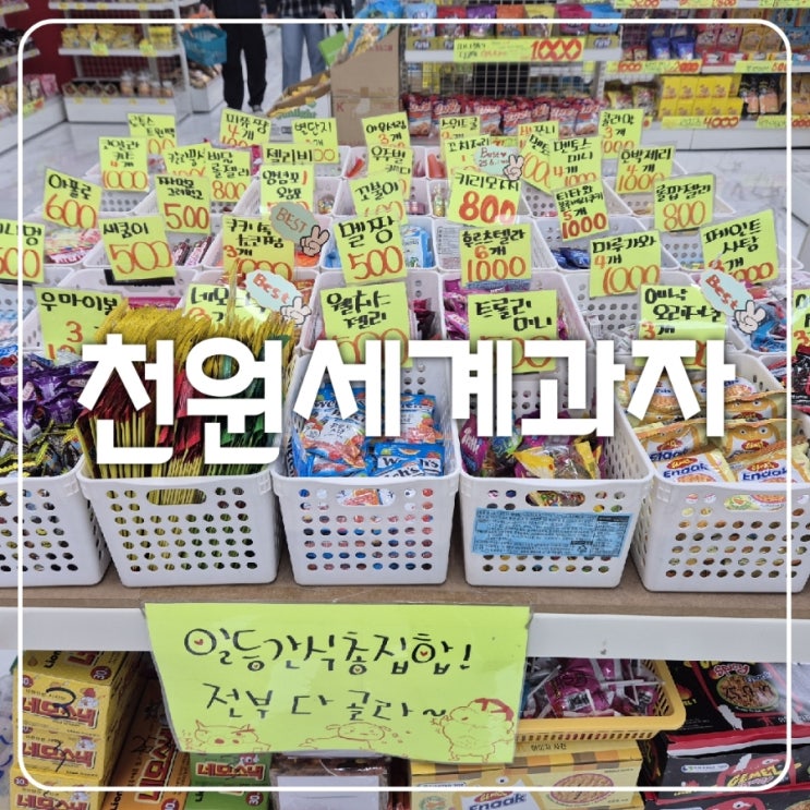 대구 아이와 반월당역 간식거리 천원세계과자 천원의행복