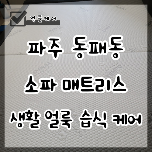  파주 소파 청소 생활 얼룩 매트리스 청소